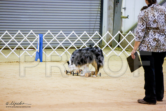_JN_7076-ASCACollegeStationNov2014-HR3