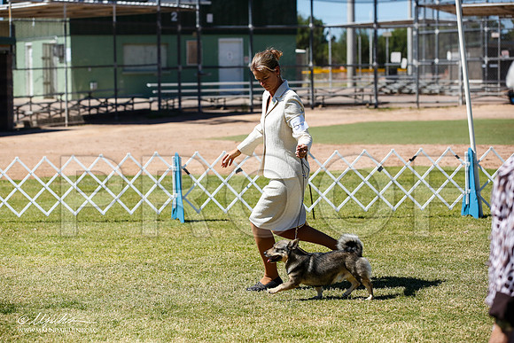 _JN_4893-AlamogordoOct2014-HR3