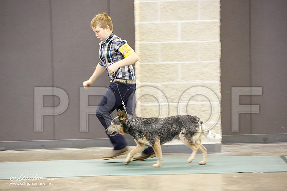 _JN_2273-BeltonJan2015-HR3