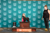 Chinese Crested #282 Sat 1st Jr Judge Kevin Carroll