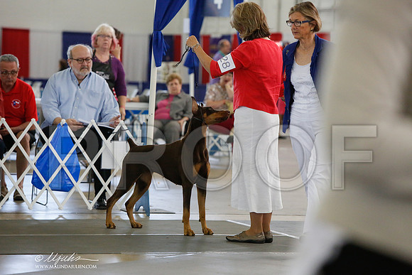 _JJ_1748-DallasJul2014-HR3