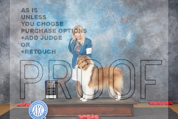 Collie Rough #6 Sun BOV Judge Beth Downey__JP_0603_Sulphur Springs_2024_HR3