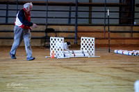Agility II Div 2 8in Sun Ring T1
