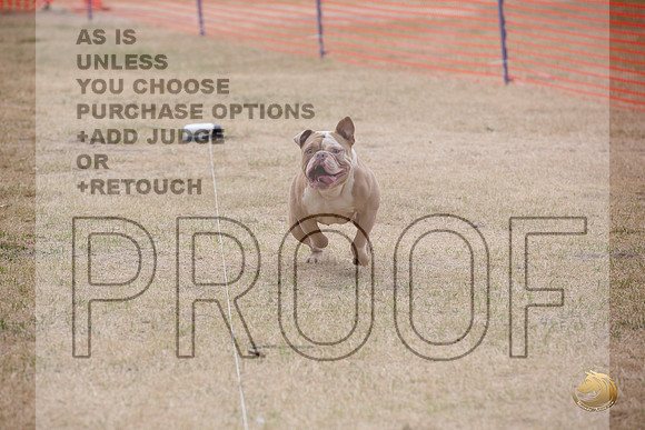 Precision Coursing Longview WA 2024 _JJL_3396_Longview WA_2024_HR3