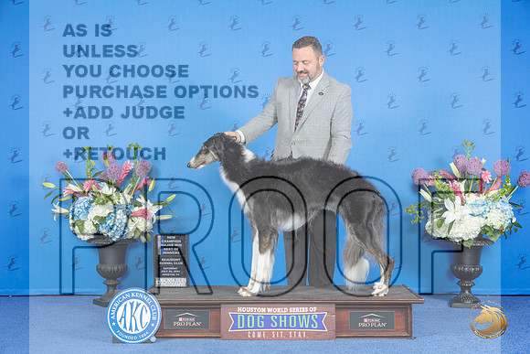 Borzoi #32 SAT WB BW NC M Judge Rick Martin__JP_9697_Houston_2024_HR3