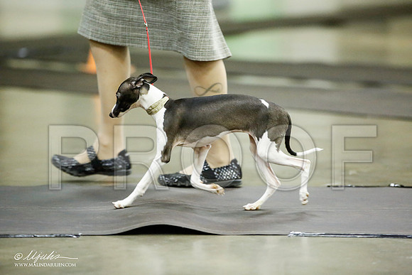 _JJ_5358-BeltonJan2015IABCA-HR3