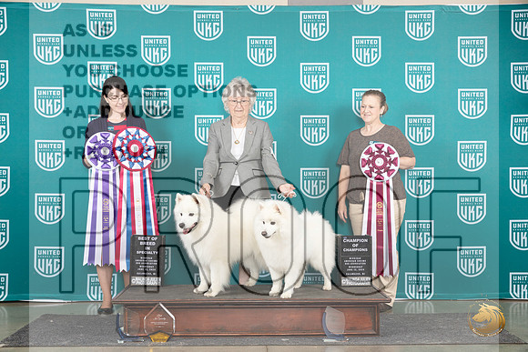 American Eskimo #111 #112 Wed BIS Judge Diana Brumbaugh__JP_0595_Premier_2024_HR3