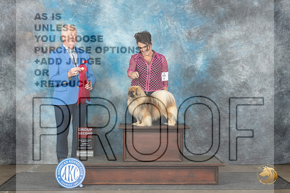Tibetan Terrier #5 Sun G2 Judge Dr Steve Keating__JP_4113_Lubbock_2024_HR3