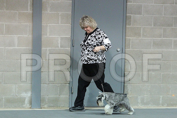MiniSchCCL_1826LR