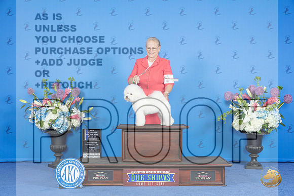 Bichon Frise #8 SUN WB BW NC M Judge Douglas Johnson__JP_0632_Houston_2024_HR3