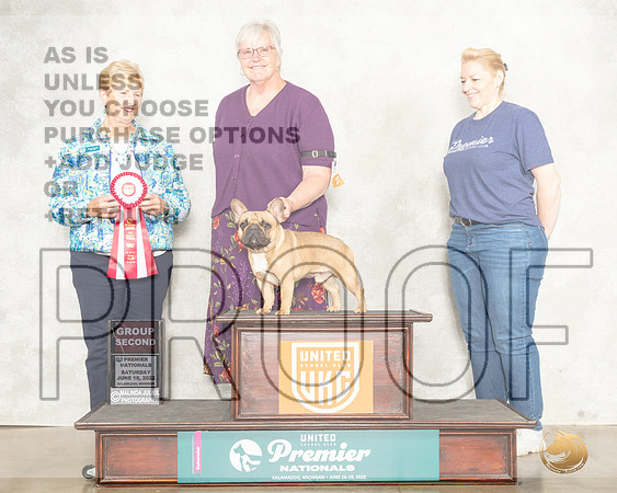 French Bulldog #239 Sat G2 Judge Karen Hynek__MJ_8552_Premier_2022_HR3