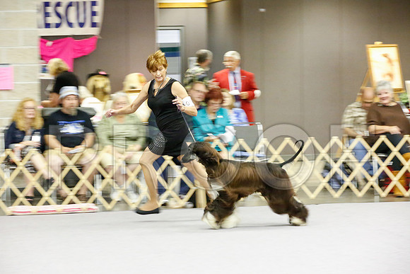 _JJ_9678-AfgBeltonOct2014-HR3