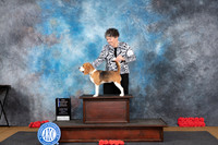 Beagle 15 #16 Sat WBBOW NCh Judge Sidney Marx