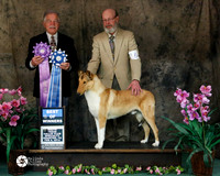 #5 Sat BOW Smooth Tina Patterson and Larry Patterson Judge R Sheets