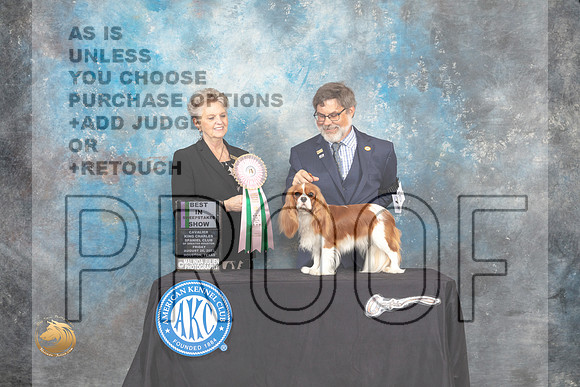 Cavlier King Charles Spaniel #16 Fri2 BISweeps Judge Diane Price_MJ_9849_HstnTOY_2022_HR3