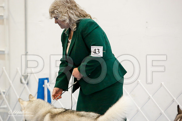 _M3_9756-AddisonHuskyMar2015-HR3