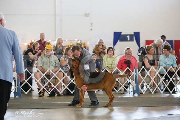 _JJ_3330-DallasJul2014-HR3