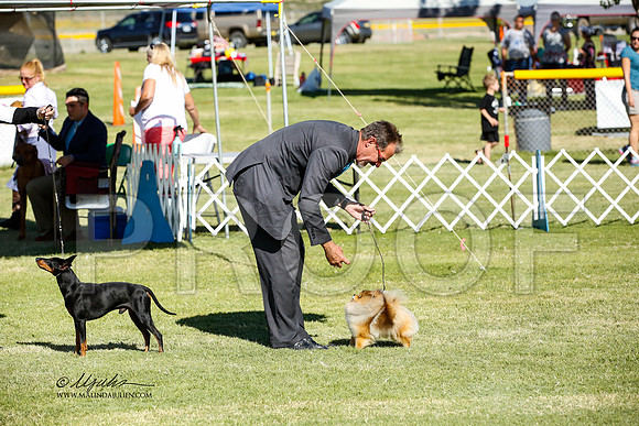 _JN_1617-AlamogordoOct2014-HR3