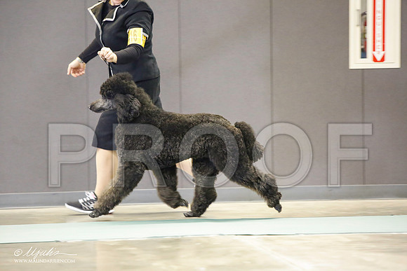 _LH_3130-BeltonJan2015-HR3