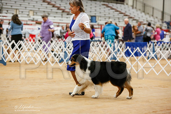 _JN_3522-TxArJun2014-HR3