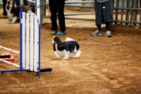 JWW Nov 12 Sat Belton Nov 2013