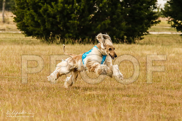 _MJ_4845-AfgBeltonOct2014-HR3