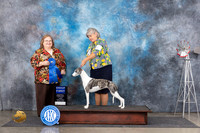 Whippet #6 Fri G1 Judge Ann Roth