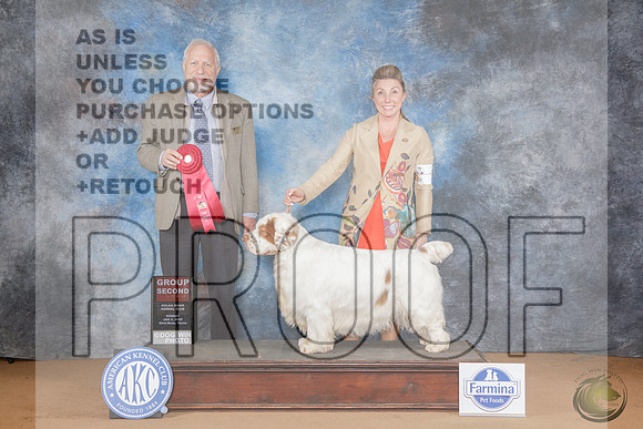 Clumber Spaniel #5 Sun G2 Judge Eric Liebes_WP_1271-NRKC2025-HR3