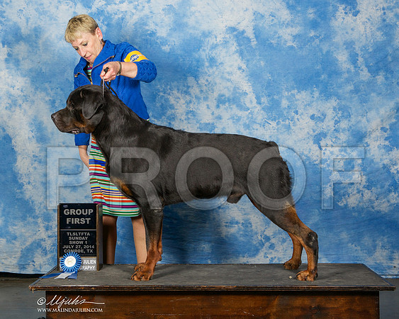 _ST_9887-CnroeJul2014-HR3
