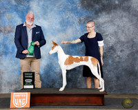 Jaiden Sanderson UDOG Longview TX Jan 31 - Feb 2 2025