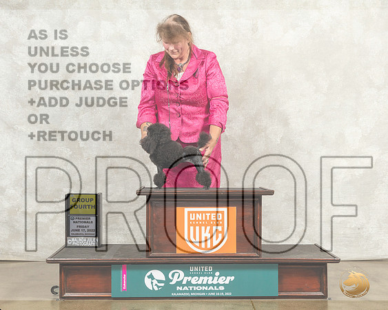 Poodle Toy #1295 Fri AG4 Judge Linda Reece__MJ_8007_Premier_2022_HR3