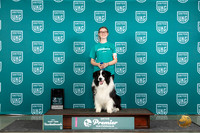 Border Collie #270 Thur Top10Jr 3rd Judge Susan Knowles