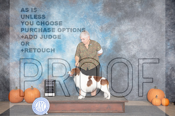 Nederlandse Kooikerhondjes #5 Sat G4 Judge Ann Roth__JP_8850_Humble_2024_HR3
