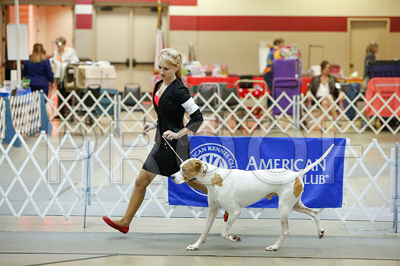 _JJ_2676-AmarilloSept2014-HR3