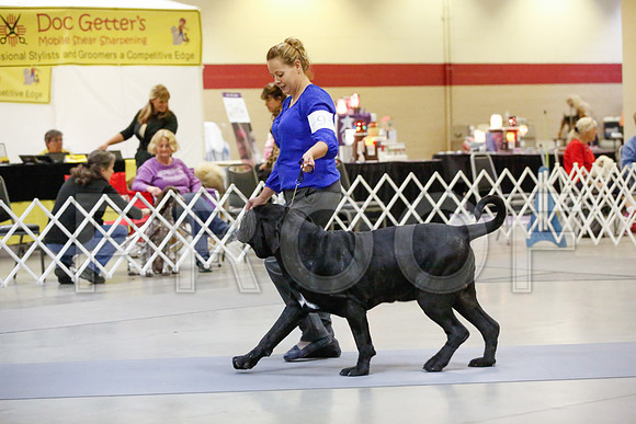 _JN_6824-AmarilloSept2014-HR3