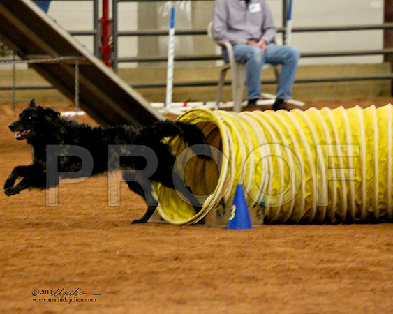 StSn20-3169