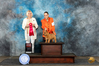 Norwich Terrier #5 Mon G2 Judge Debra Thornton