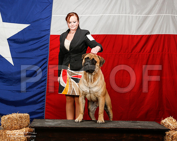 _ST_2050-2-AmarilloSep2014-HR3
