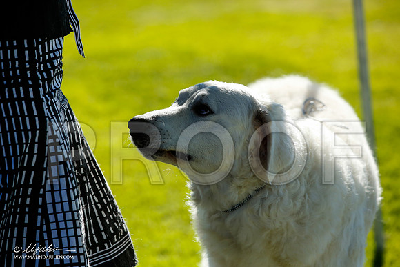 _JN_7779-AlamogordoOct2014-HR3
