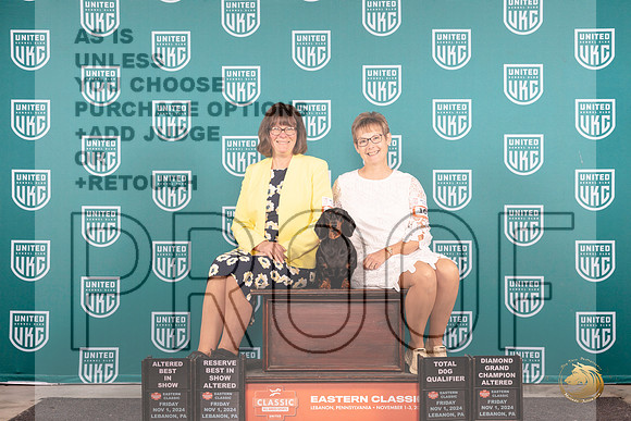 Dachshund #105 Fri ARBISTD Judge Keith ABIS Judge Will__JP_2023_UKCEastern_2024_HR3