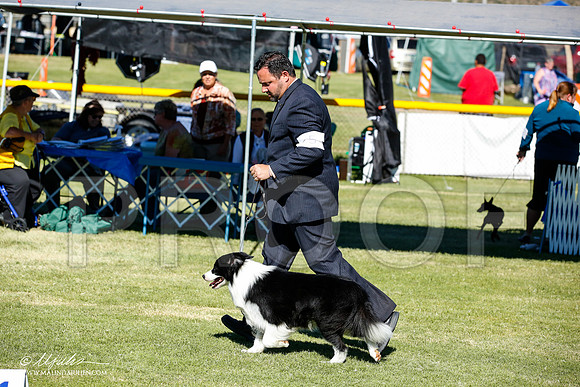 _JN_9449-AlamogordoOct2014-HR3