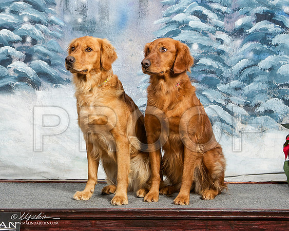 _ST_9389-DallasDec2014-HR3