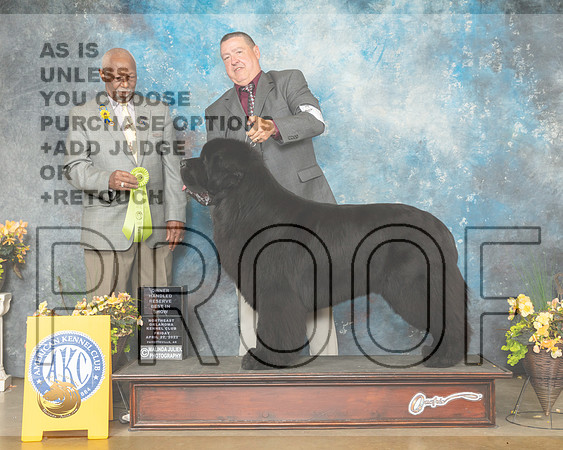 Newfoundland #5 Fri OHRBIS Judge Eugene Blake-MMJ_9810-NWARK2022-HR3