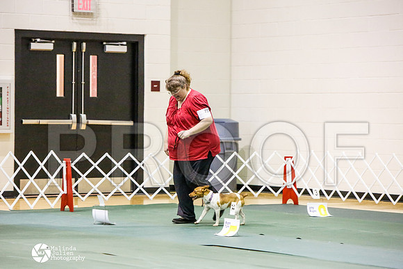 _JJ_2818-BsrCtyJun2014-HR3