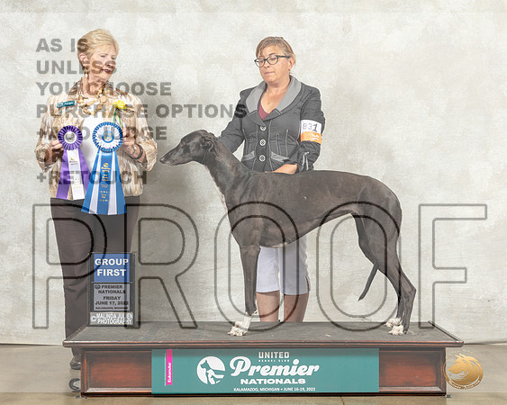 Greyhound #831 Fri G1 Judge Karen Hynek__MJ_8108_Premier_2022_HR3