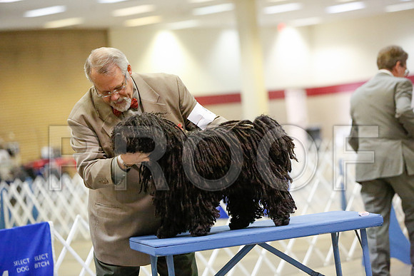 _JN_4392-AmarilloSept2014-HR3