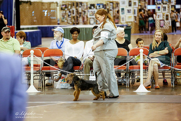 _JJ_6466-DalJul2014-HR3