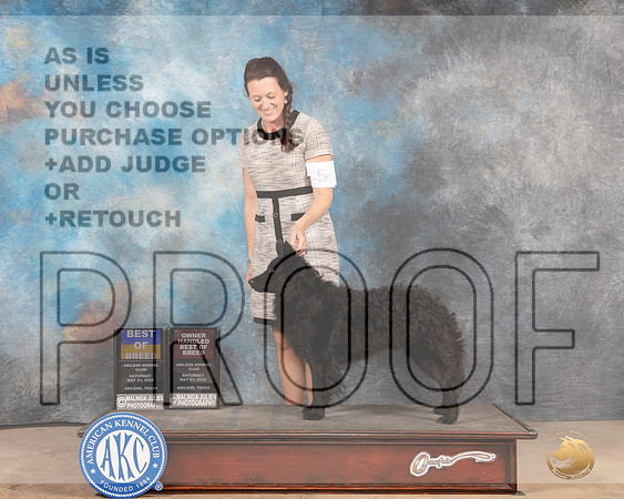 Mudik #5 Sat BOBOHBOB Judge Pat Trotter-MMJ_4019-Abilene2022-HR3