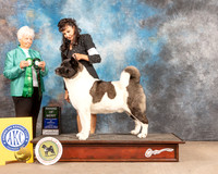 Akita #33 Fri AOMBVet Judge Gloria Kerr