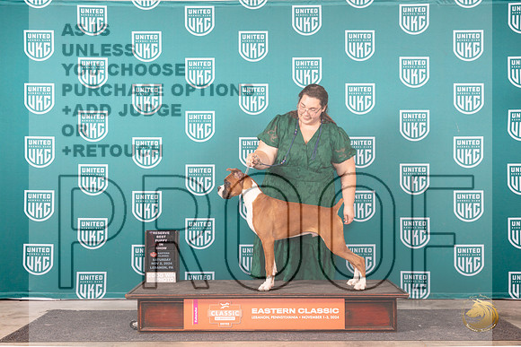 Boxer # Sat PRBIS Judge William Chrazanowski__JP_2412_UKCEastern_2024_HR3